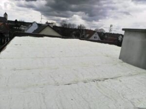 502564294_2979066285596380_4024688070744672796_n