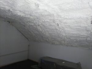 502979453_2979066108929731_357010839423784221_n