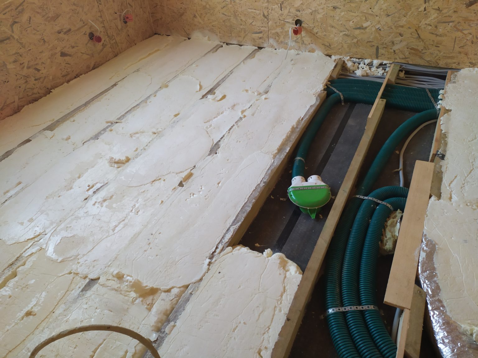 IMG_20191205_111347_(1)[1]